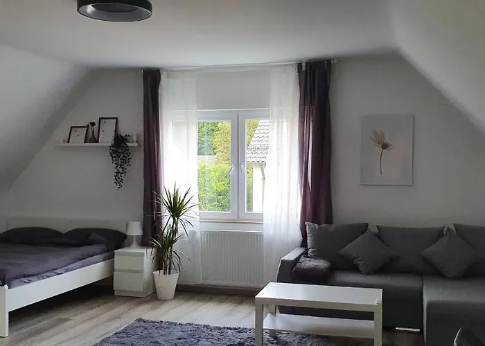 Bonn/koenigswinter 公寓 *